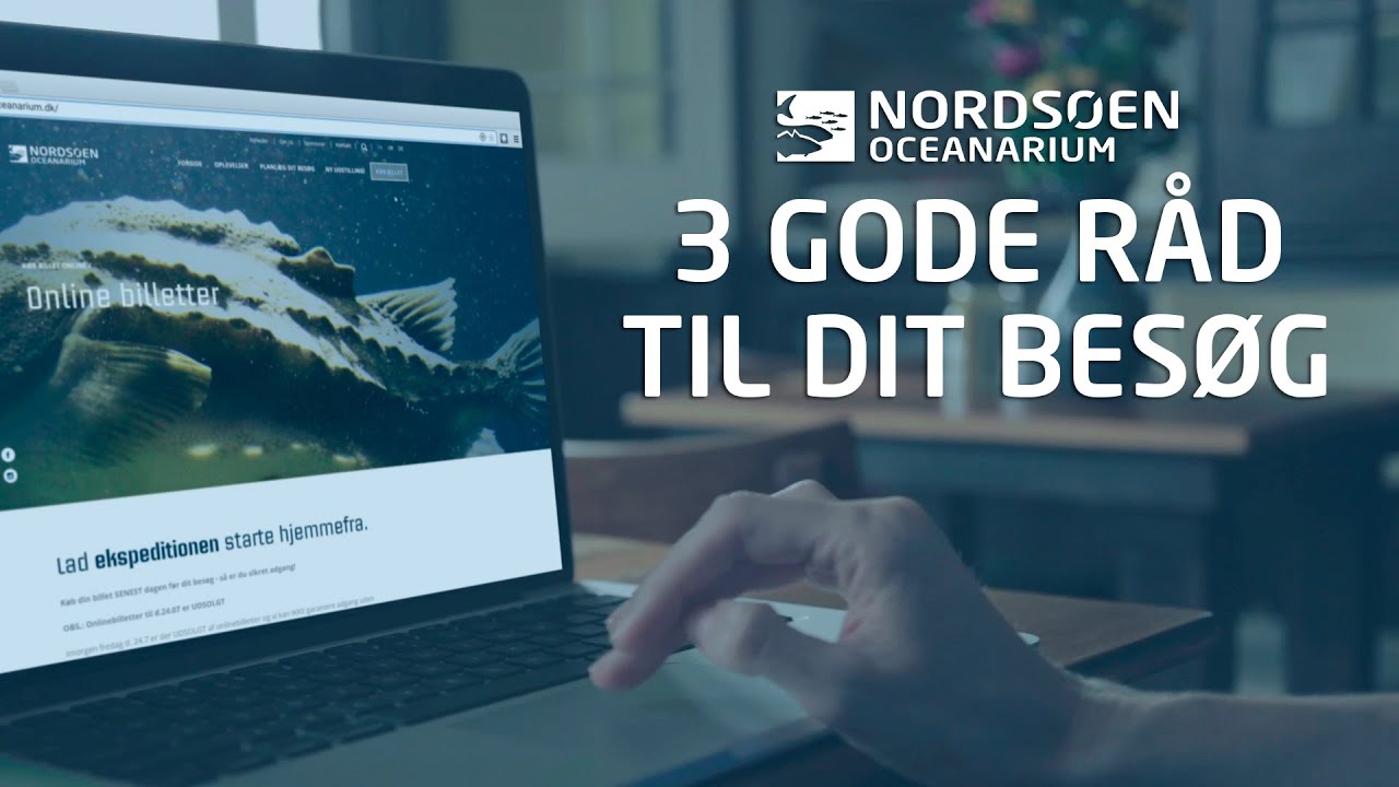 Nords&oslash;en Oceanarium - et bes&oslash;g v&aelig;rd i alt slags vejr