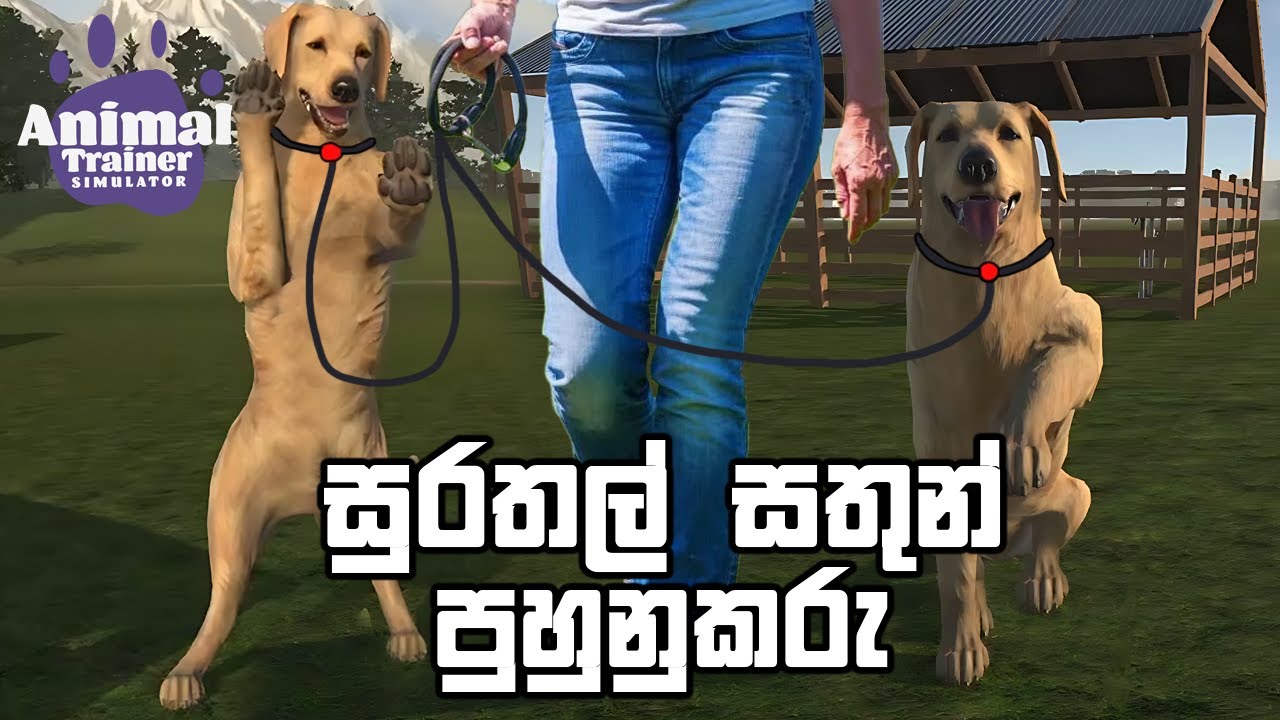 සුරතල් සතුන් පුහුනුකරු | Animal Trainer Simulator