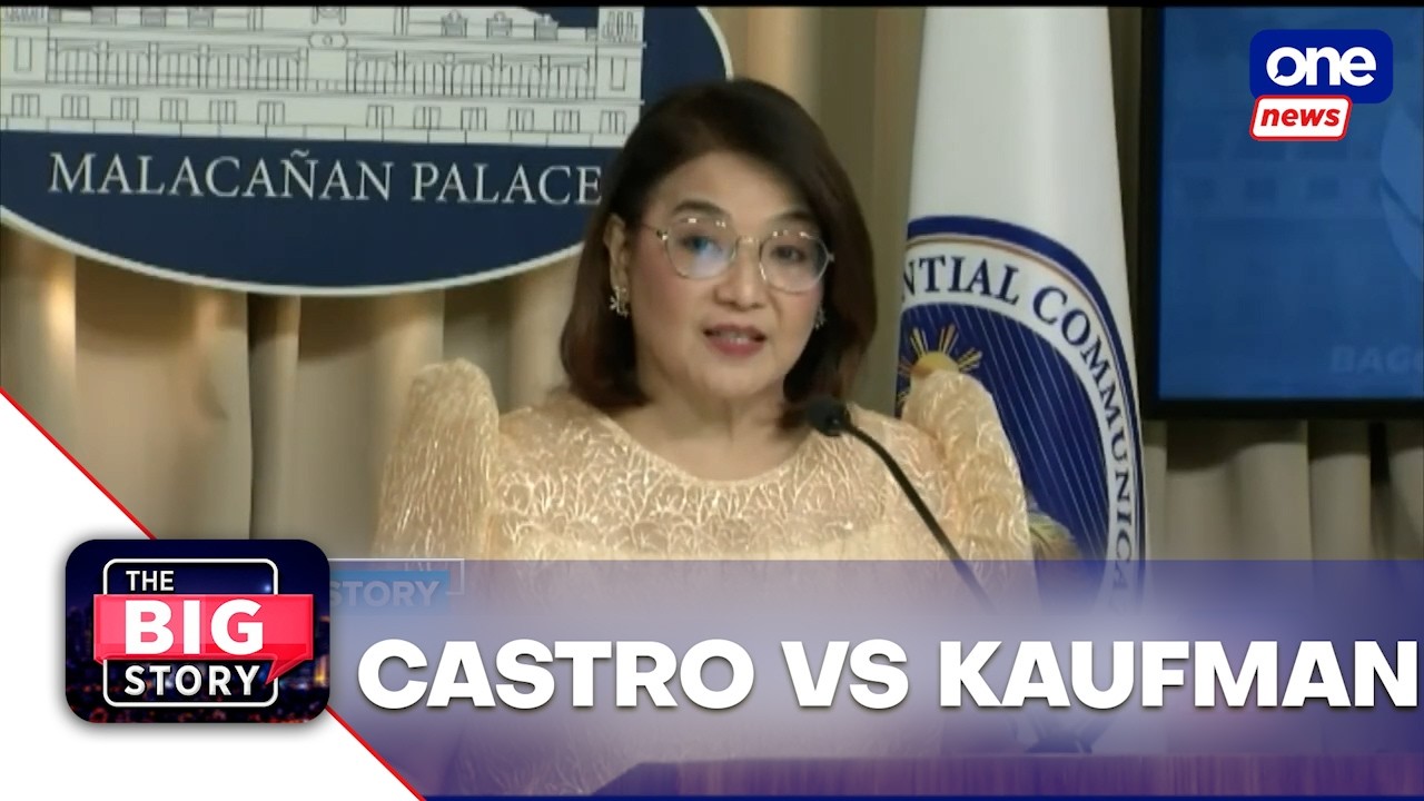 Castro tells Kaufman to file cases if he sees abuses in admin's drug war