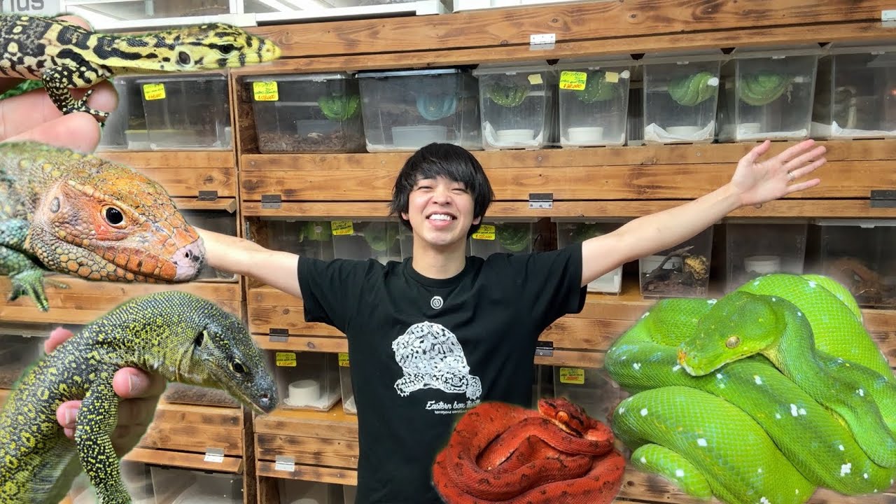 神奈川県相模原市に移転した爬虫類ショップに行ってみると...ヤバすぎる生体がたくさん入荷していました