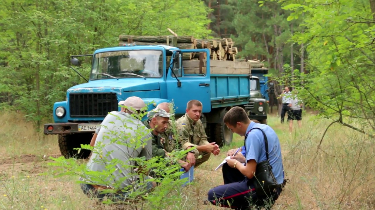 Незаконна вирубка лісу