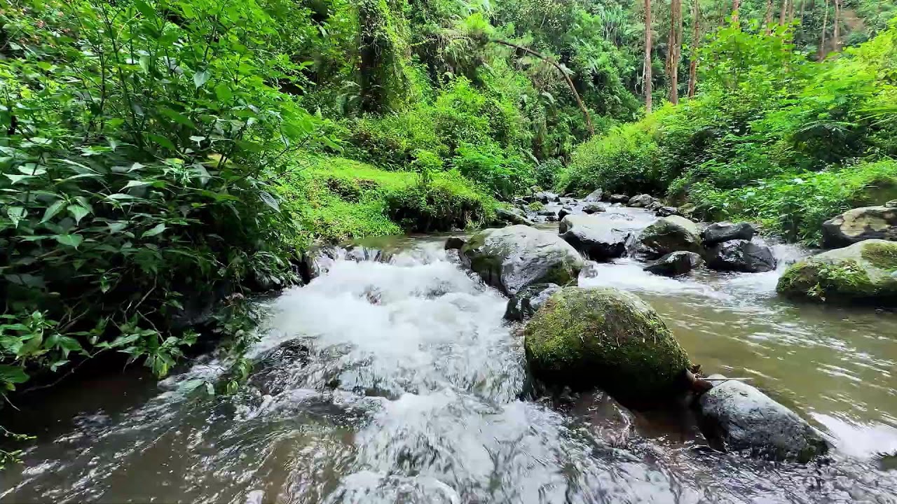 Soft river sound in quiet forest darkness guiding calm breathing into peaceful deep sleep