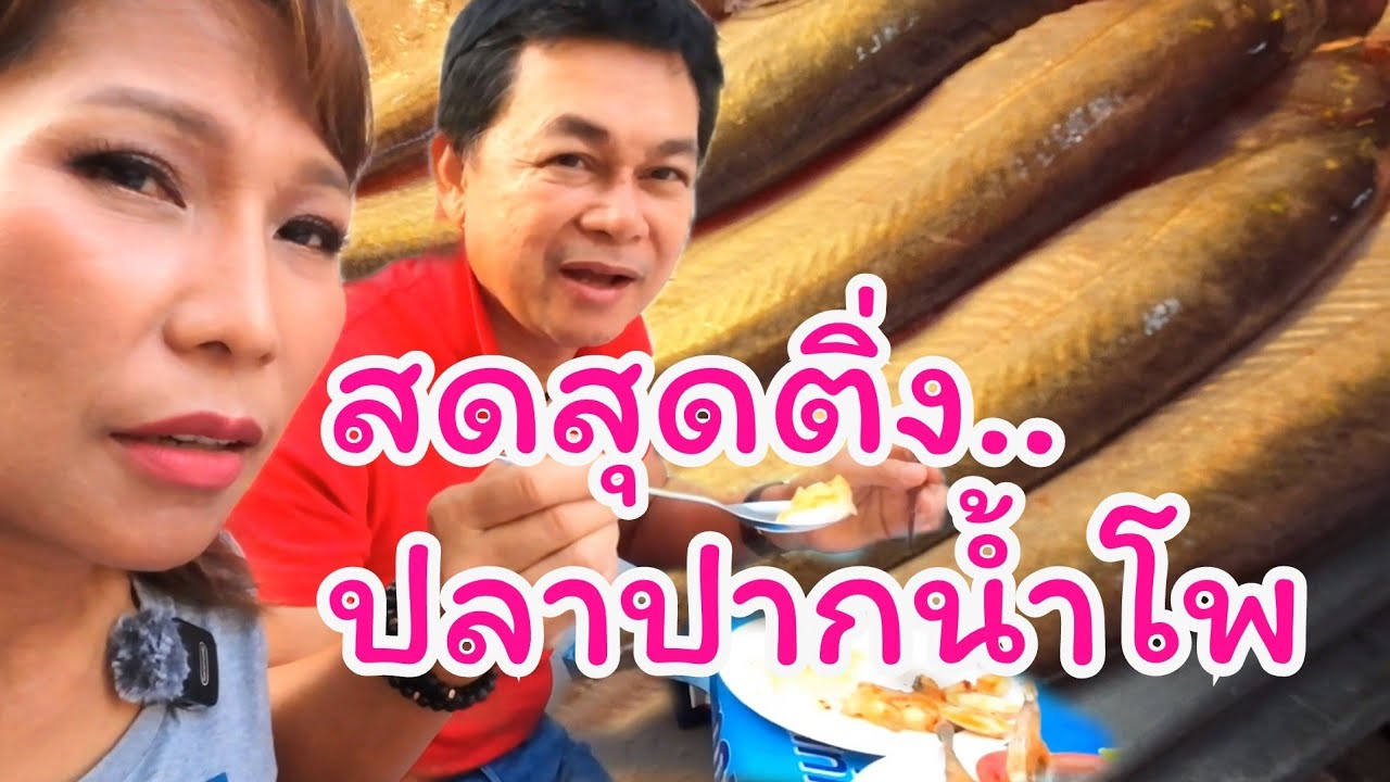 กินปลาปากน้ำโพ สุดยอดความสด #กินแบบบ้านๆEp4