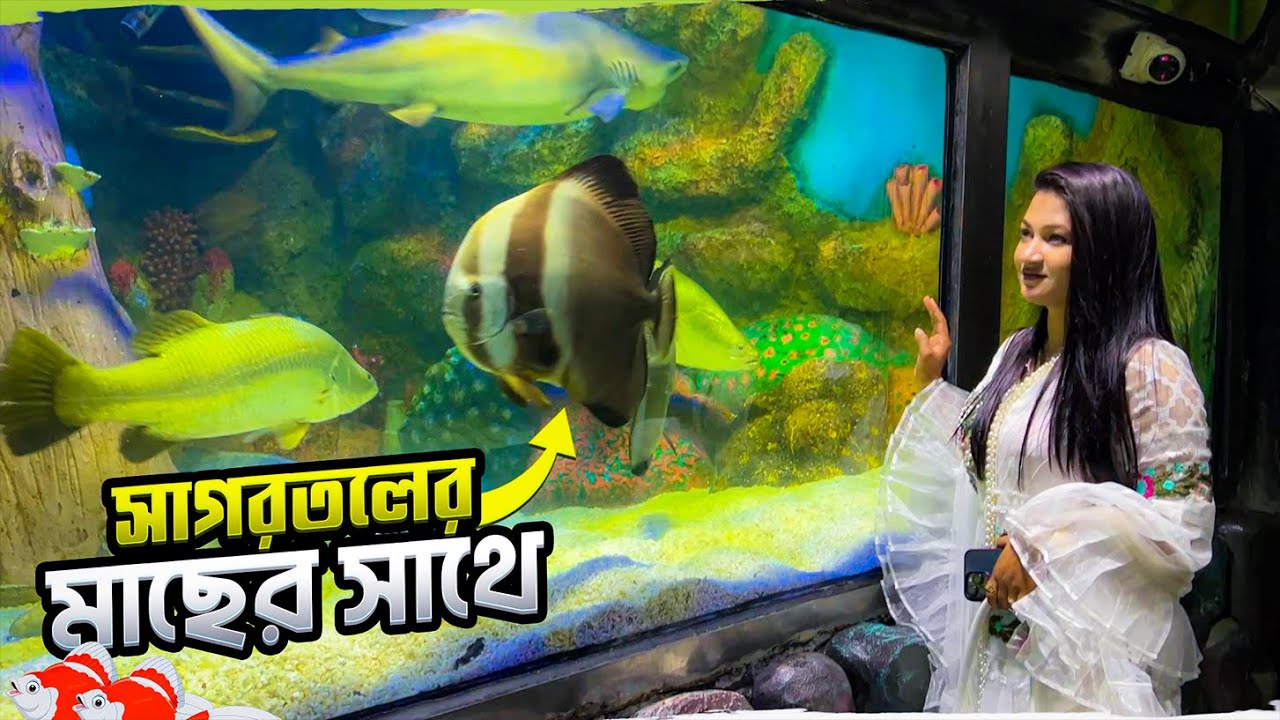 সাগরতলে ভ্রমণের অনুভূতি দেবে রেডিয়েন্ট ফিশ ওয়ার্ল্ড || Radiant Fish World || Cox's Bazar