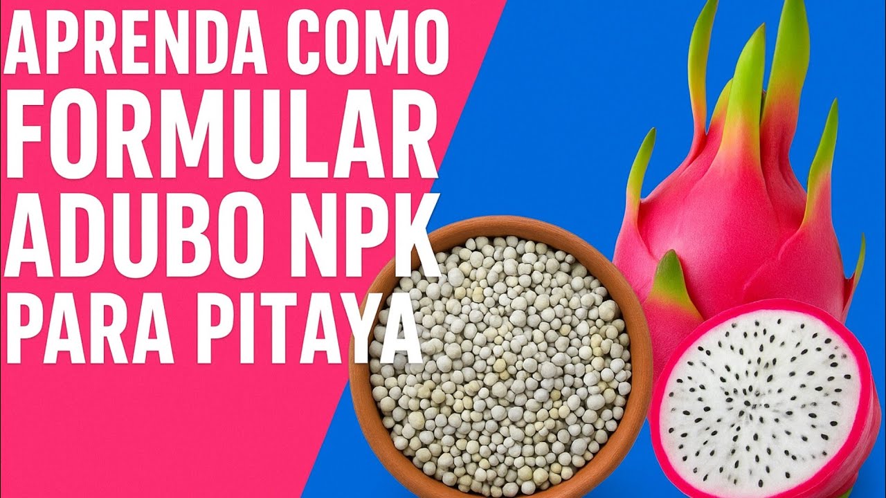 COMO FORMULAR O SEU PRÓPRIO ADUBO NPK PARA A PITAYA - APRENDA DE UMA VEZ POR TODAS 