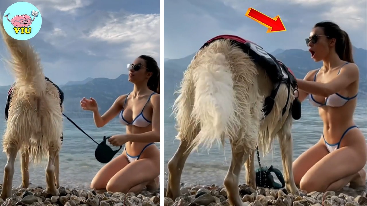 258 Real-Life Surprises Caught on Camera 😱 – You Won't Believe What Happens Next