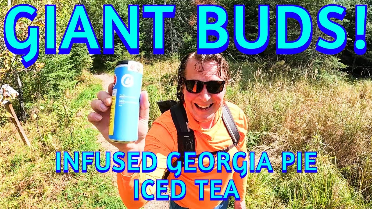 HUGE NUG GHOST DROPS FIRST CLASS FUNK Slime Bag THC Infused Georgia Pie Iced Tea, Live Resin Vapes