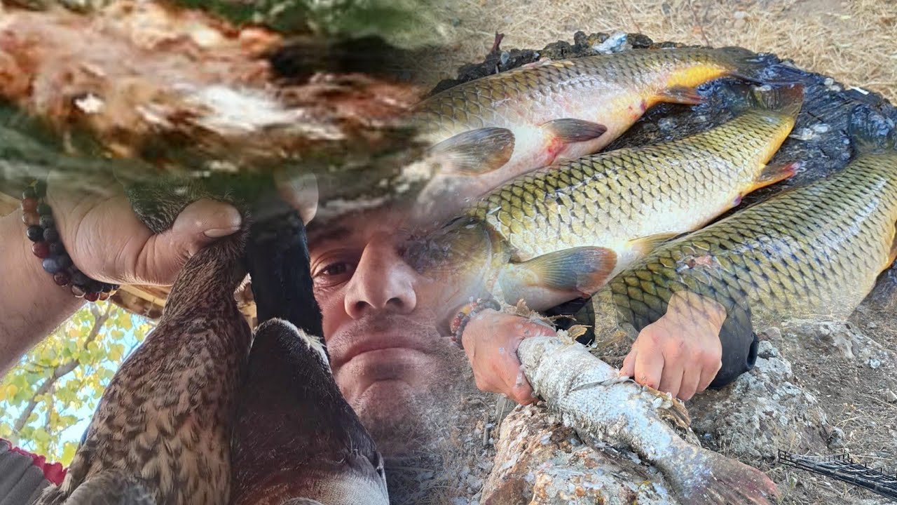 Parlama &ouml;rdek avı double atiş #parlama&ouml;rdekavıdoubleatiş #parlama #doğal&ccedil;ekim #aboneol