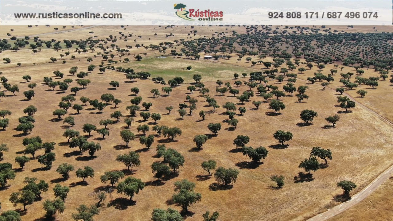 Finca ganadera en Córdoba