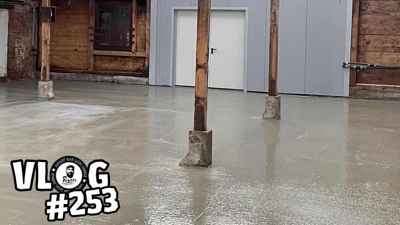 vLog253: Von Beton, Schleppern & Eseln