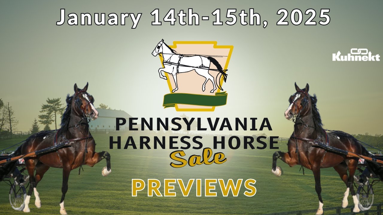 Previews - 2025 Pennsylvania Harness Horse Sale