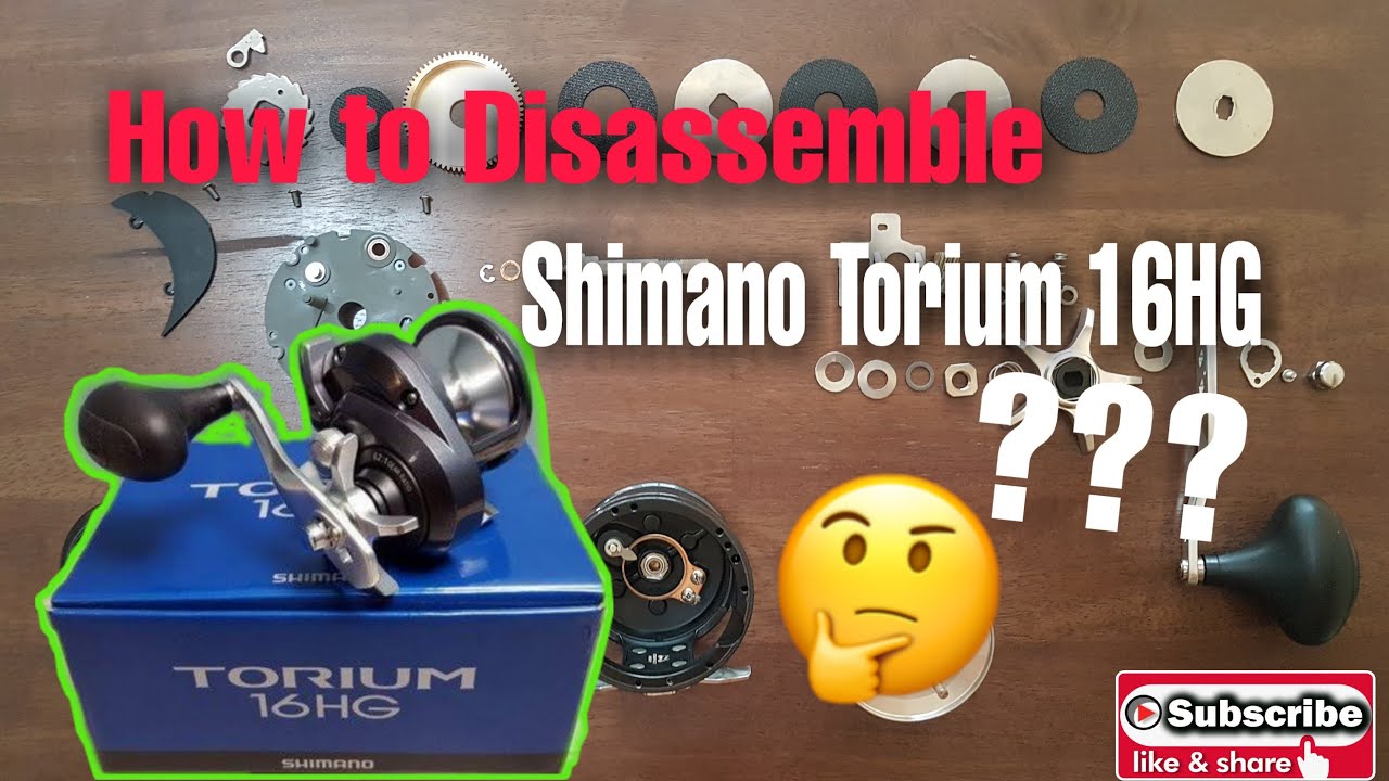 Shimano Torium 16 HG Disassembly: Internal Components