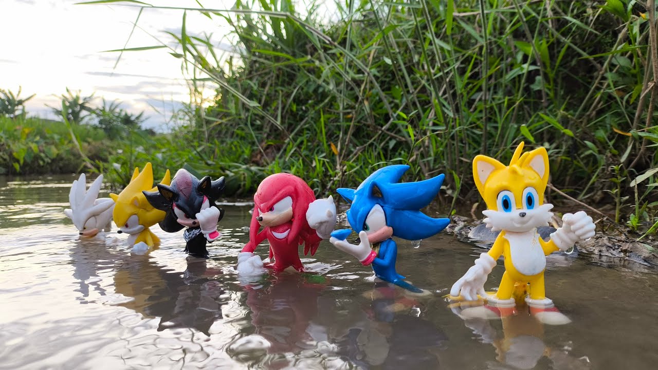 Sonic Hunter | Sonic Hedgehog | Knuckles | Tails | Super Sonic | Sonic Shadow | Metal Sonic | Amy