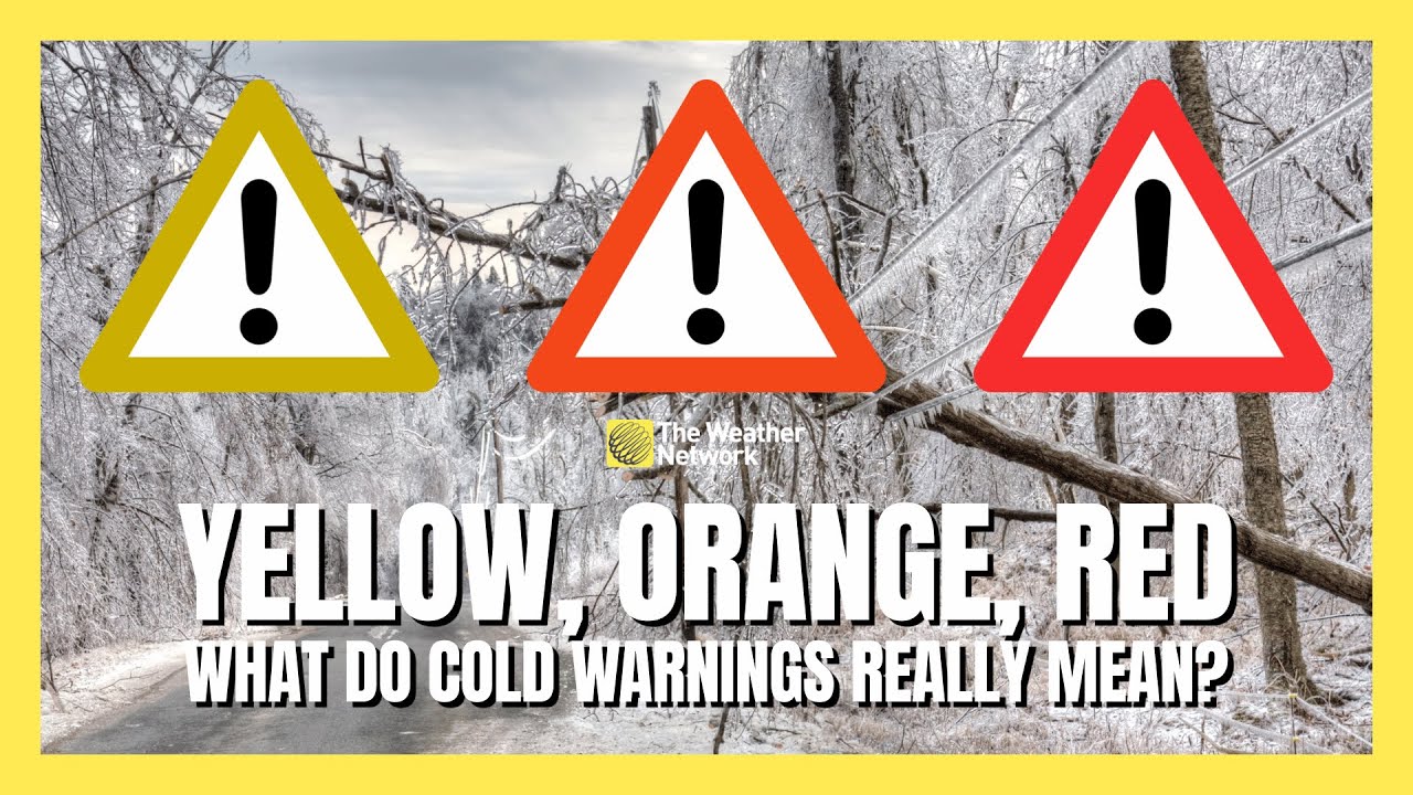 Yellow, Orange, Red: What Do Cold Warnings Really Mean?