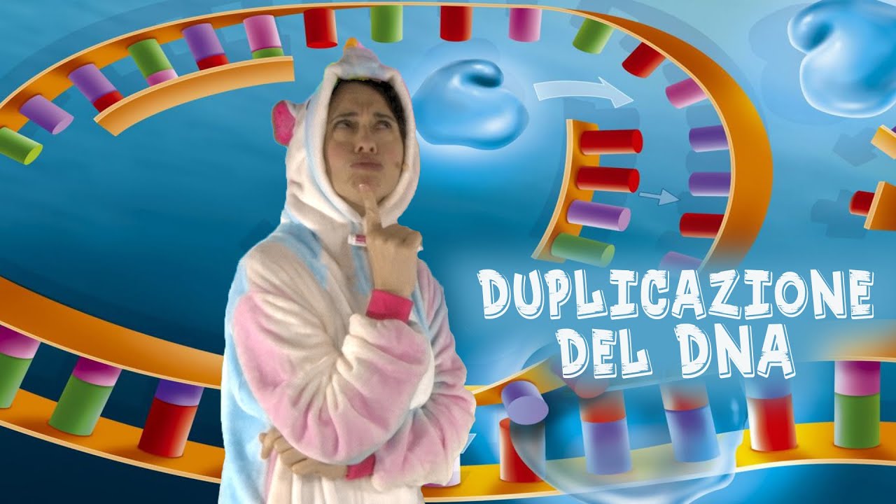 La duplicazione del DNA