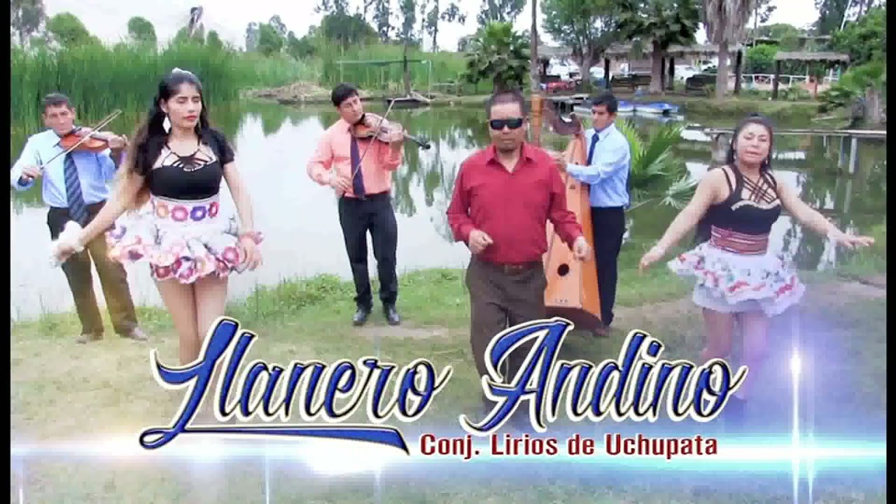 Llanero Andino: Una noche