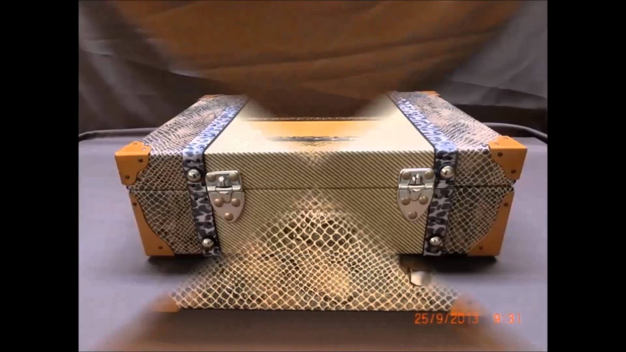 Larisch   Andreas   Custom  Harp  Cases