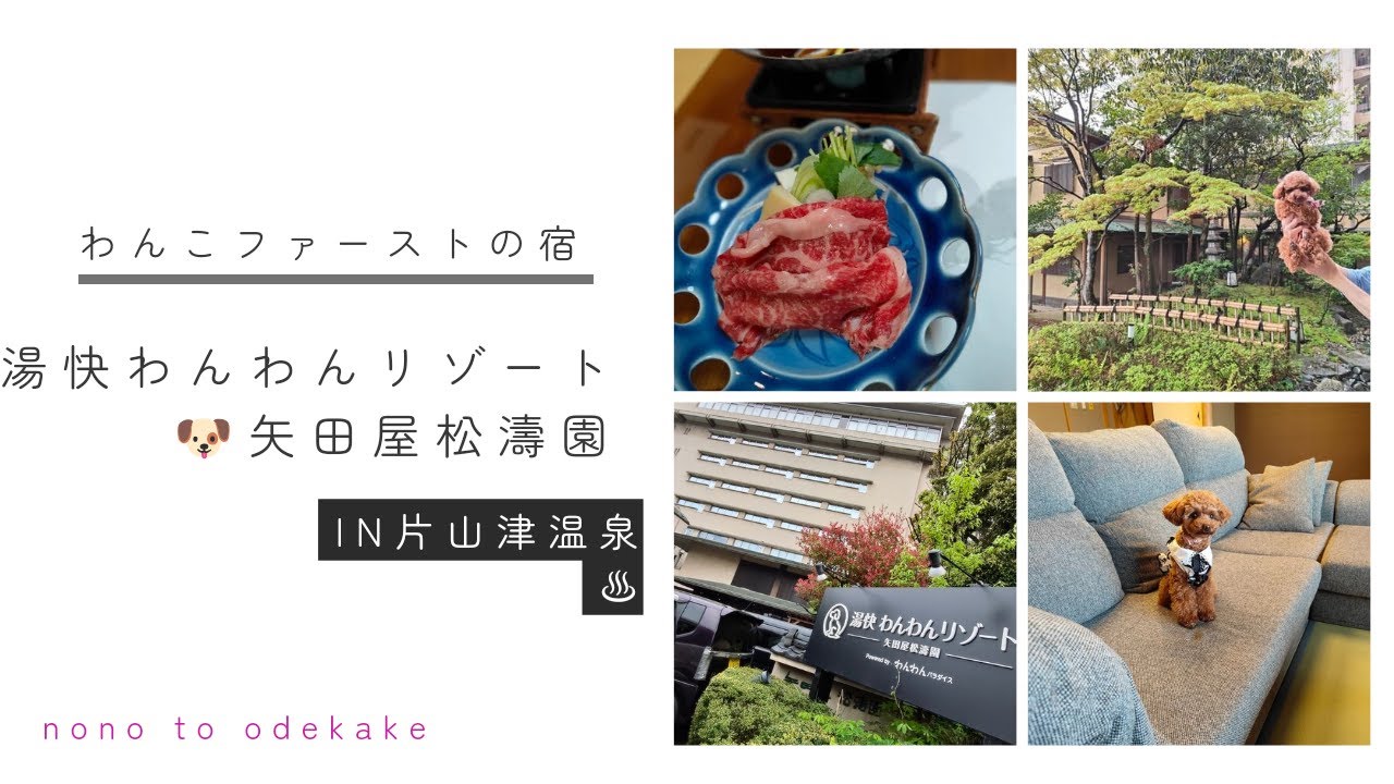 【湯快わんわんリゾート矢田屋松濤園】わんことの宿泊に特化した湯快リゾートのホテル。ずっと一緒に過ごせるサービスと食事も満足！