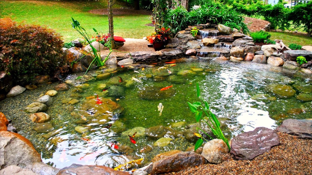 BACKYARD WATERFALL POND DESIGN IDEAS | HOW TO BUILD CALM AND RELAXING GARDEN LANDSCAPE PONDS AREA