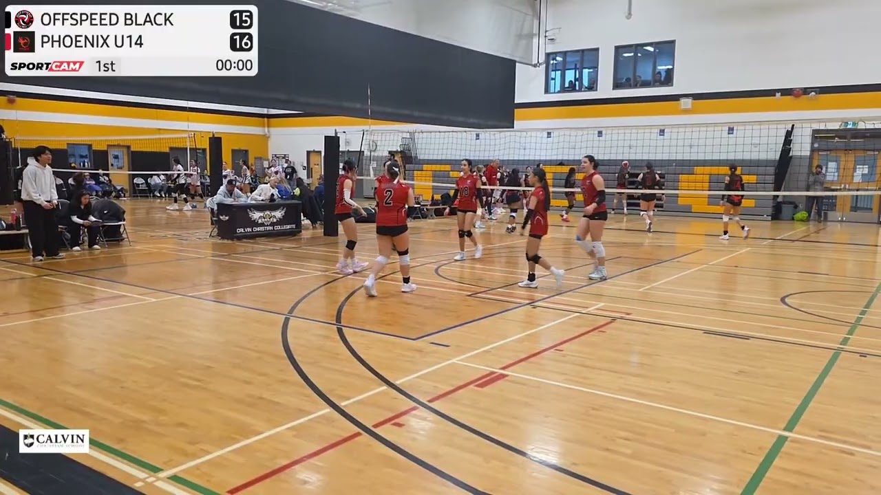 Set 1 HIGHLIGHTS