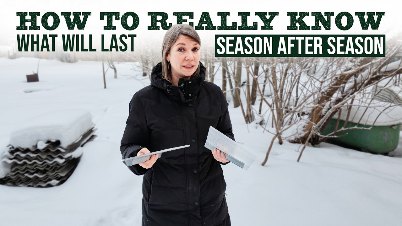 Cheap vs Premium Greenhouse: The Snow Test