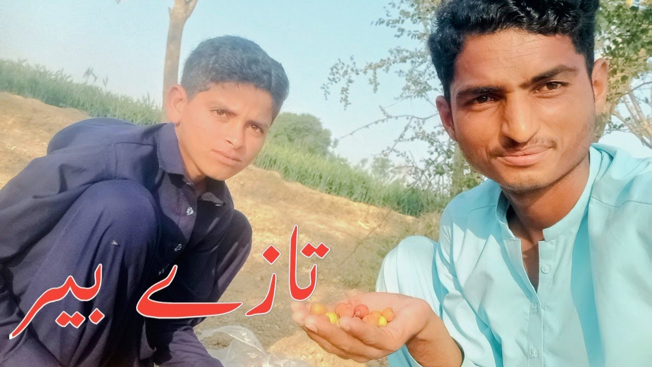 Taaze bair#تازے بیر