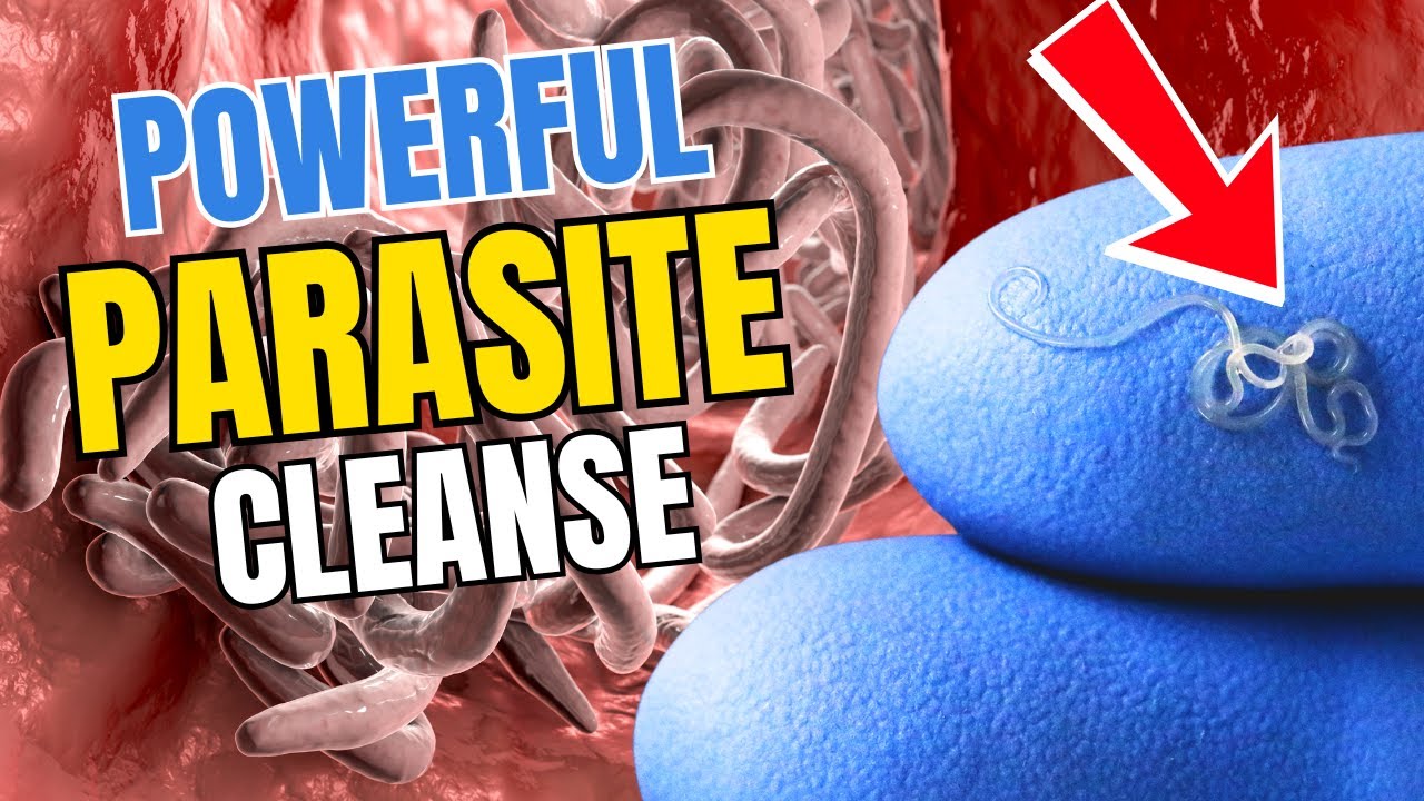 How to Get Rid of Parasites FAST | Dr Approved Parasite Protocol