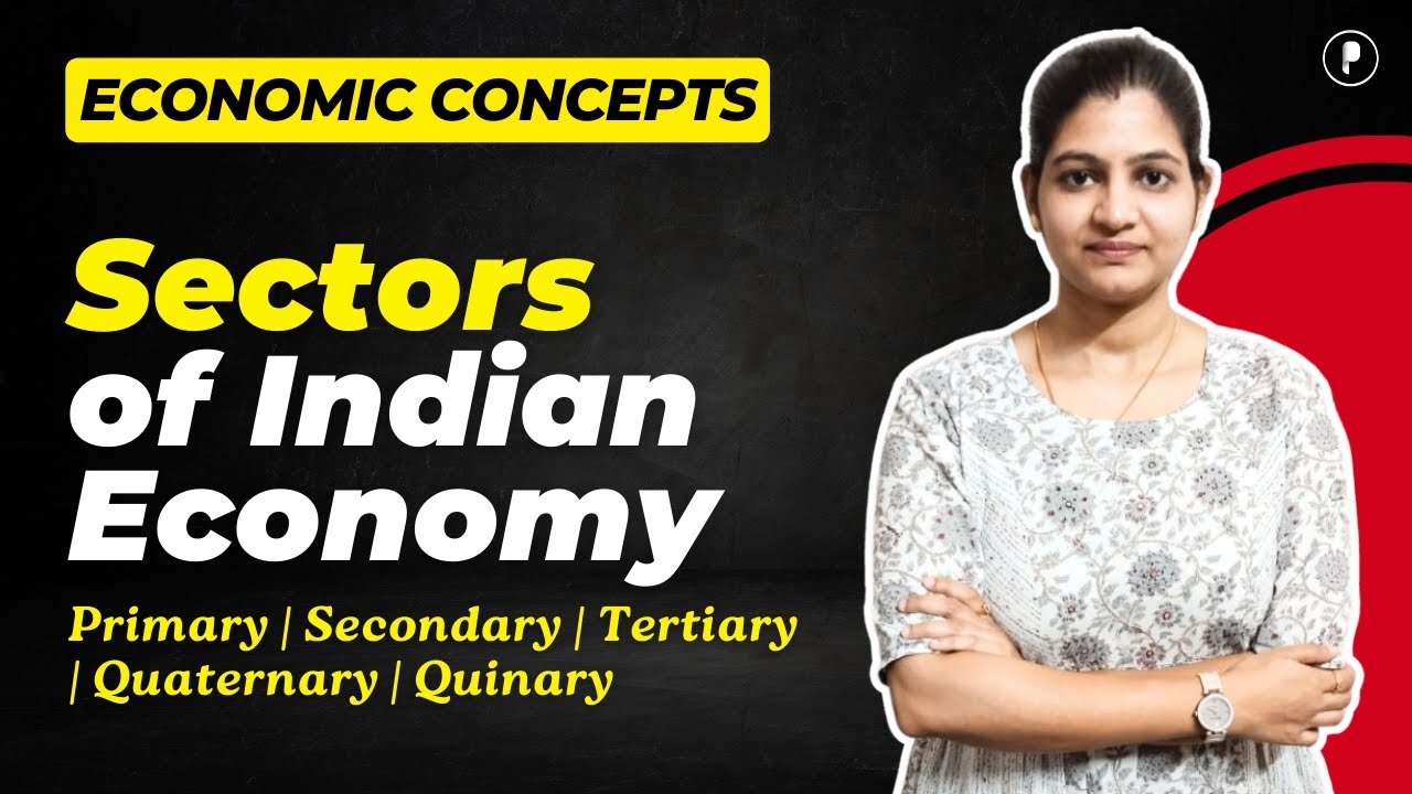 5 Important Sectors of Indian Economy | Sectors of Economy | Indian Economy by Parcham Classes