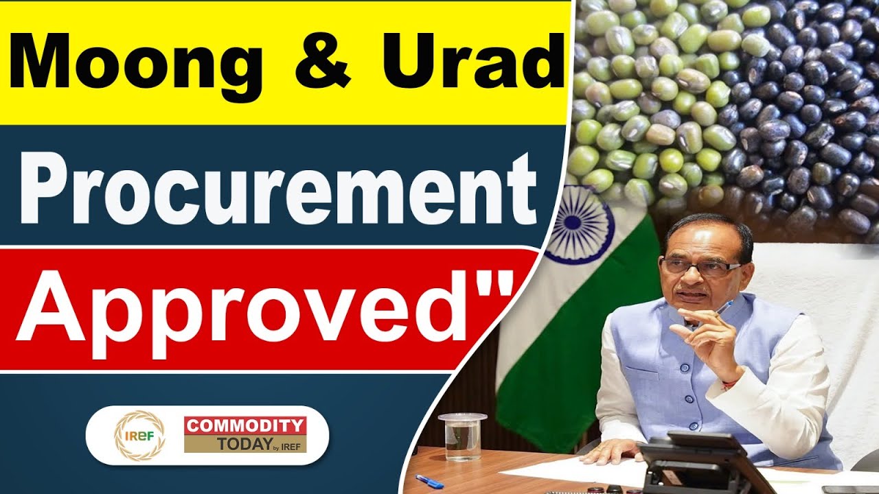 Govt Approves Moong & Urad Purchase at MSP #shivrajsinghchouhan #msp
