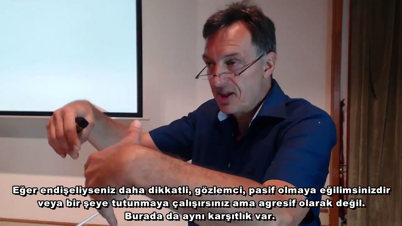 Schema Therapy with Couples, Eckhard Roediger's Workshop
