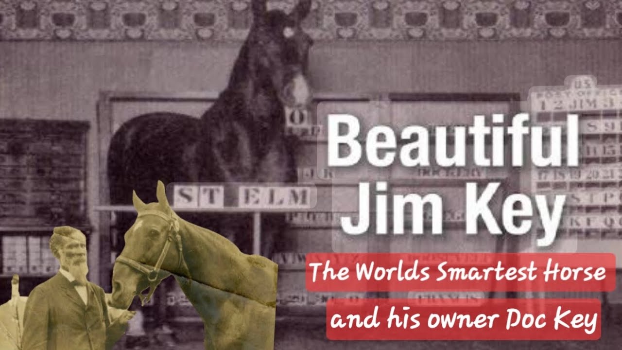 The Graves of Beautiful Jim Key the World's Smartest Horse and his Owner/Trainer Doc Key