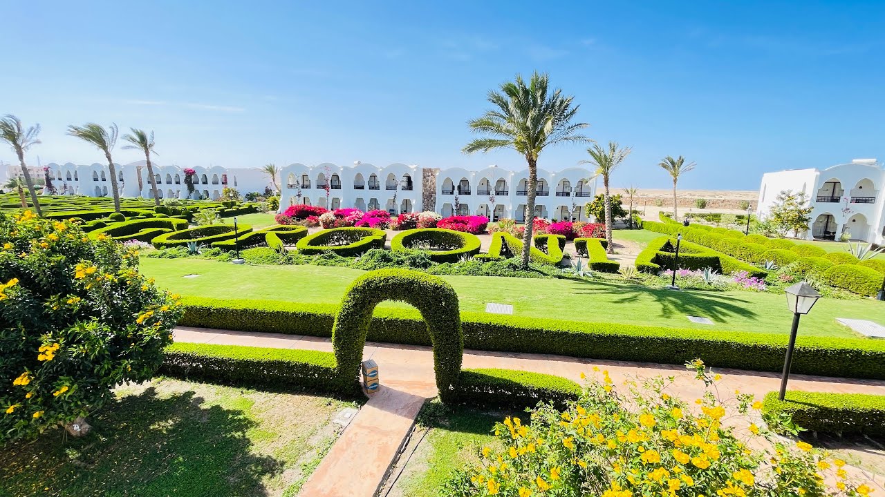 Gorgonia Beach, von München nach Marsa Alam,März 2023