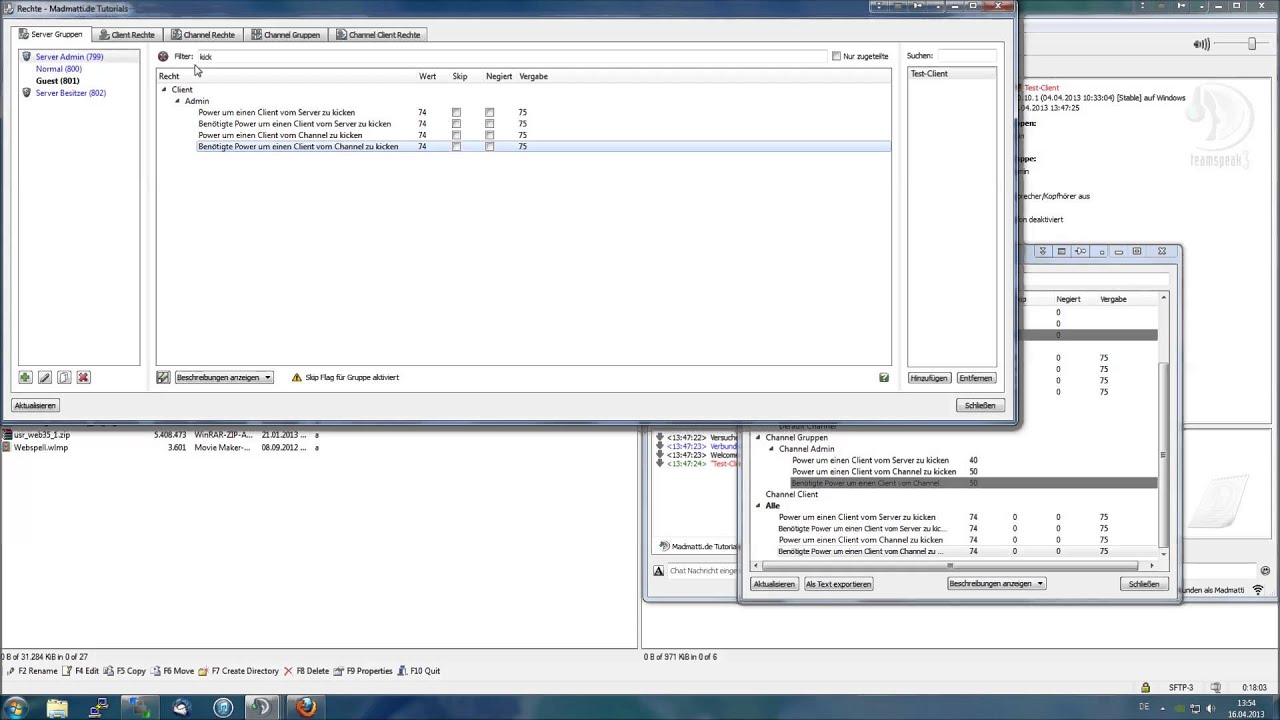 TS3 Tutorial: Rechte überschreiben mit Skip & Negieren