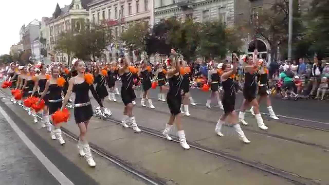 Virágkarnevál 2014 - Carnival de Paris, felnőtt 1