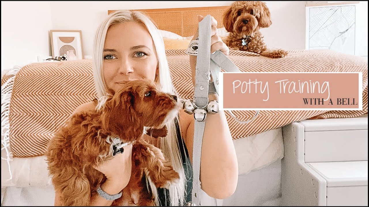 How To Potty Train Your Puppy Using The Bell System | Quick & Easy Potty Training