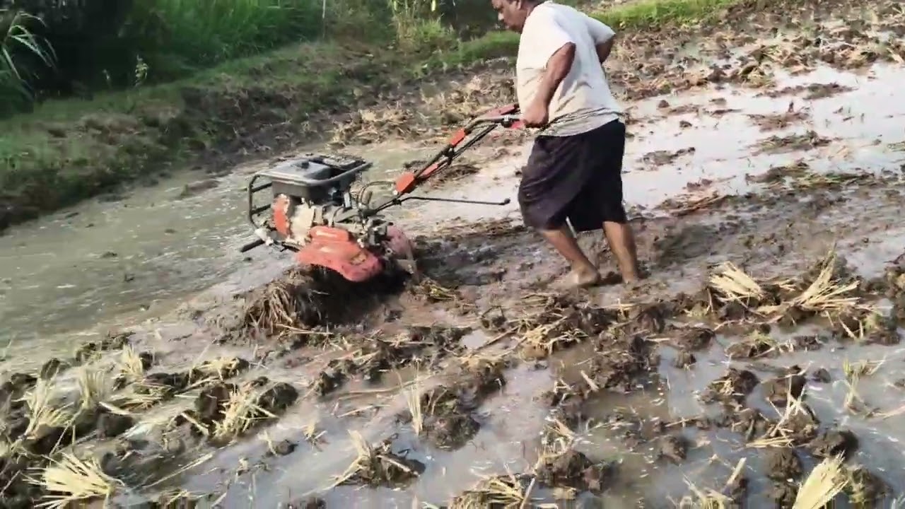 Power weeder se  mud teyar karna 