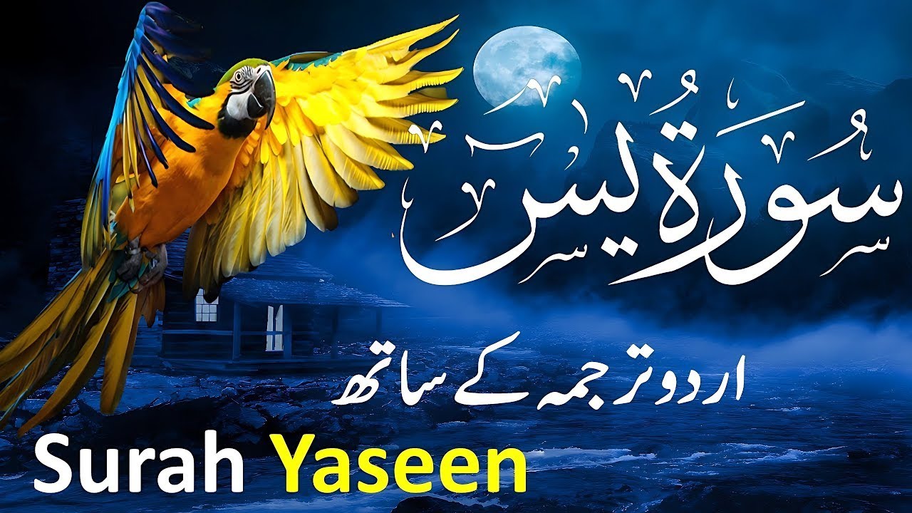 Surah Yasin ( Yaseen ) with Urdu Translation | Quran Tilawat Beautiful Voice | Hindi Tarjuma 065