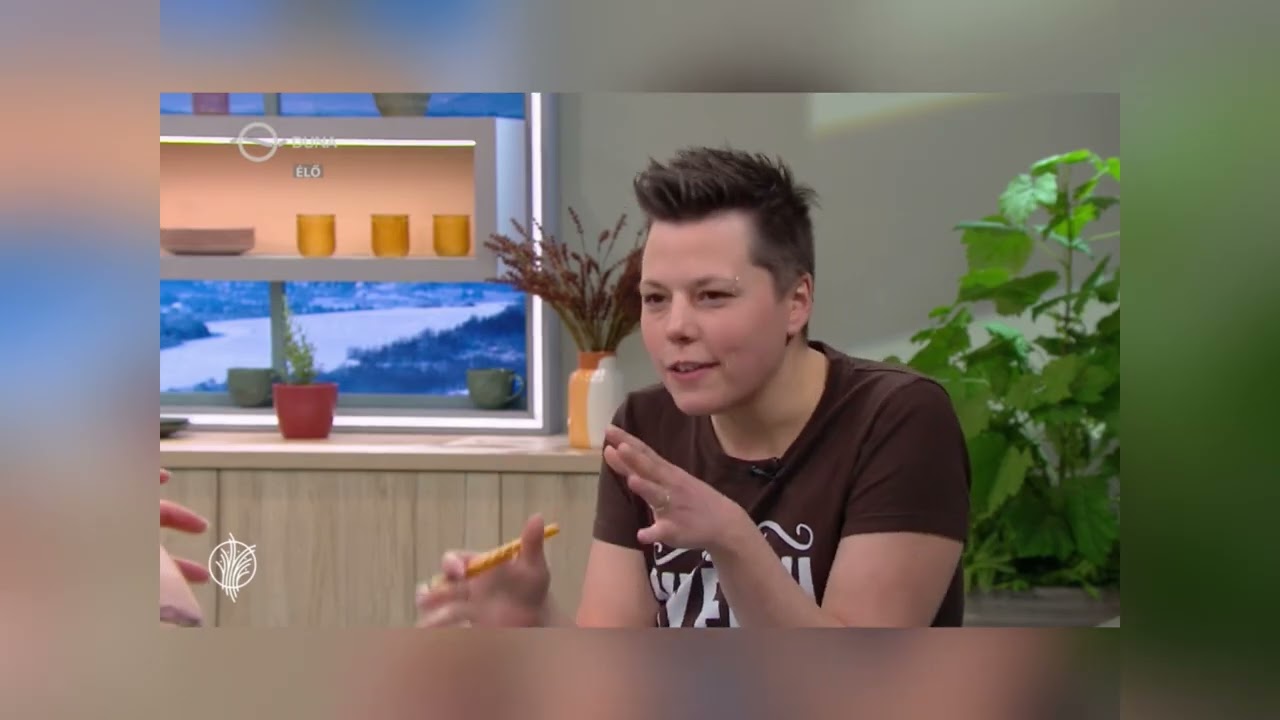 Duna tv riport az intarziáról