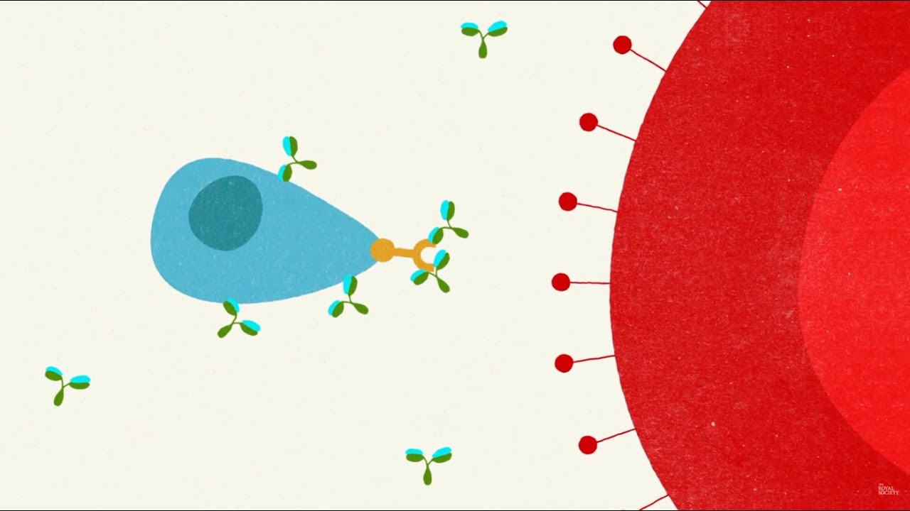 Malaria: the struggle for a vaccine