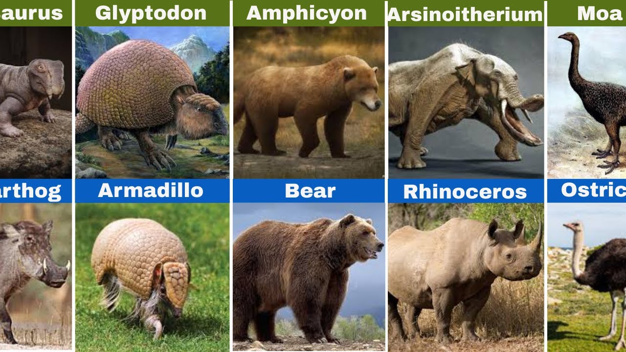 Tiny Descendants of Ancient Giants | Smallest creatures From Ancient Giants #wilddatatv #wildanimals