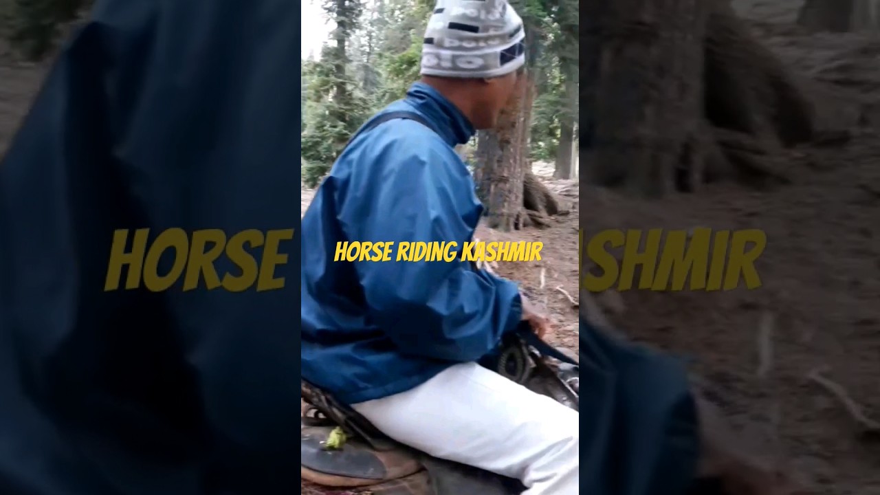 horse riding Kashmir valley #baisaranvalley #kashmirtravelvlog 😯😯😯