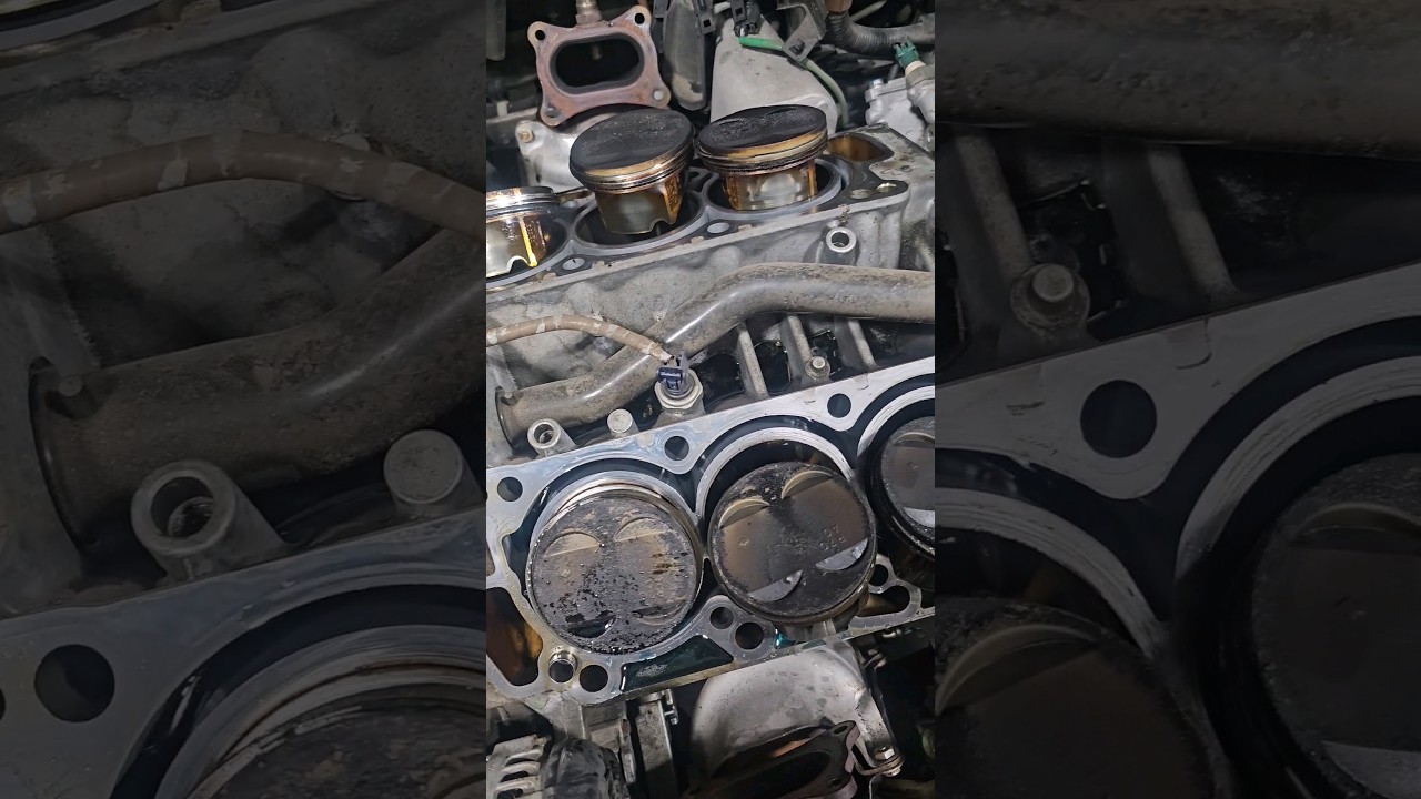 Замена поршневых колец #carsofyoutube #mechanic #techtips #honda #shorts