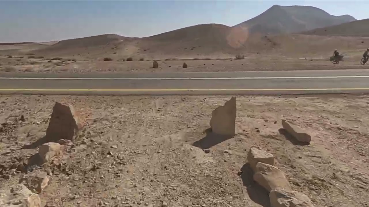 סינגל ערד מצדה