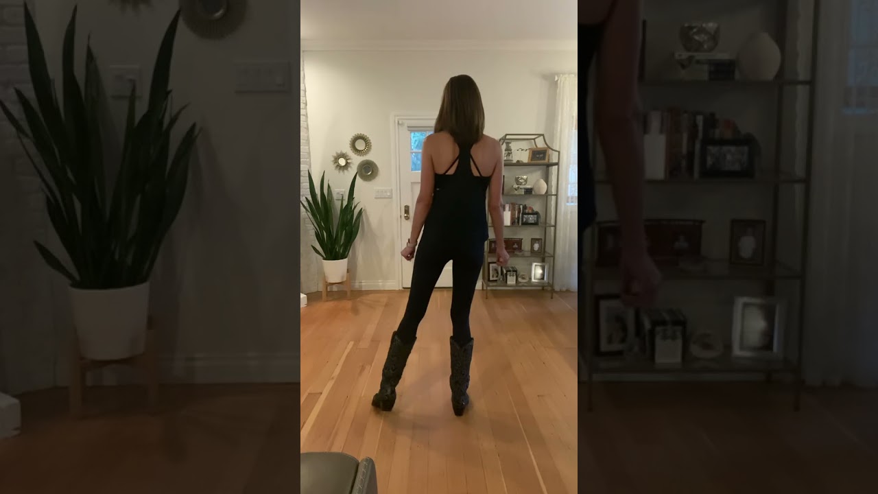 Black Velvet Line Dance Tutorial-beginner
