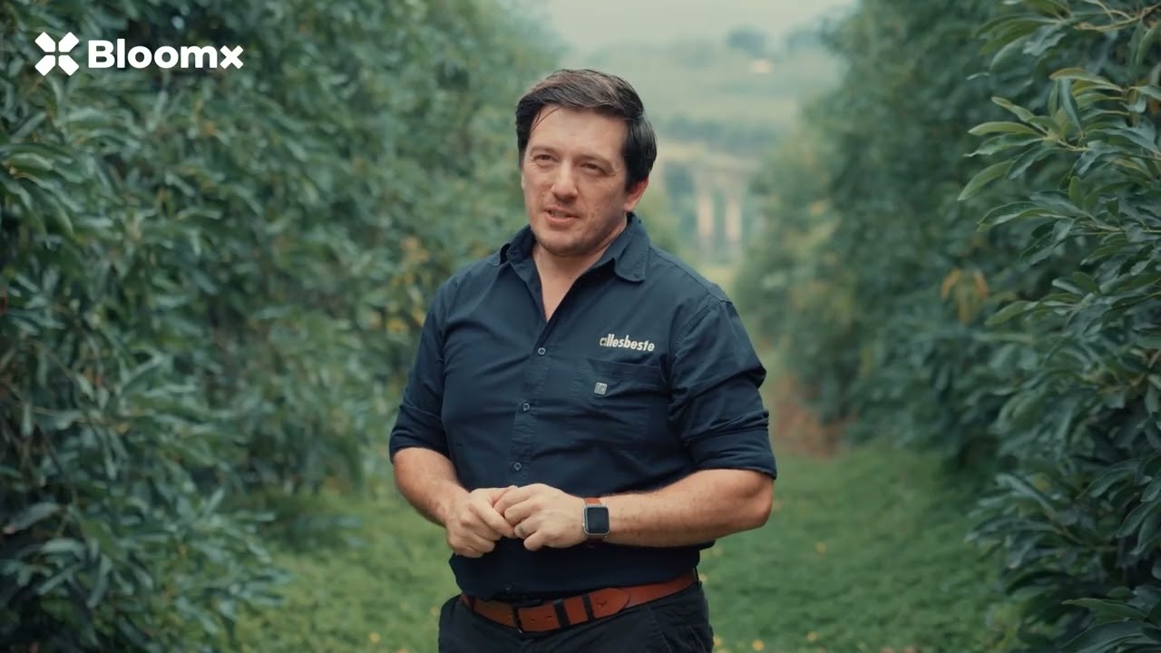 Up to 20% More Yield: Allesbeste&rsquo;s Avocado Success with BloomX