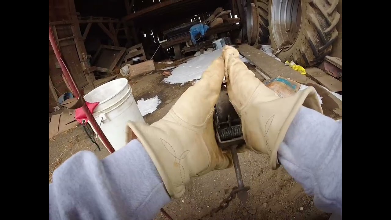 How to set a dog proof trap