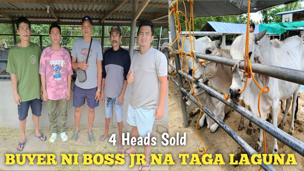 May Dumating na Buyer si Boss Jay R