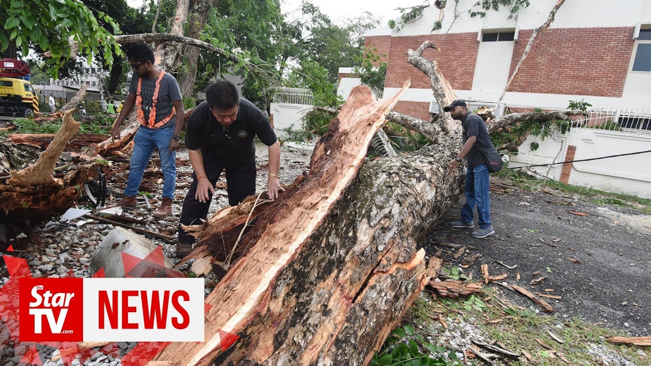 [10/08/19] Typhoon Lekima leaves a trail of destruction