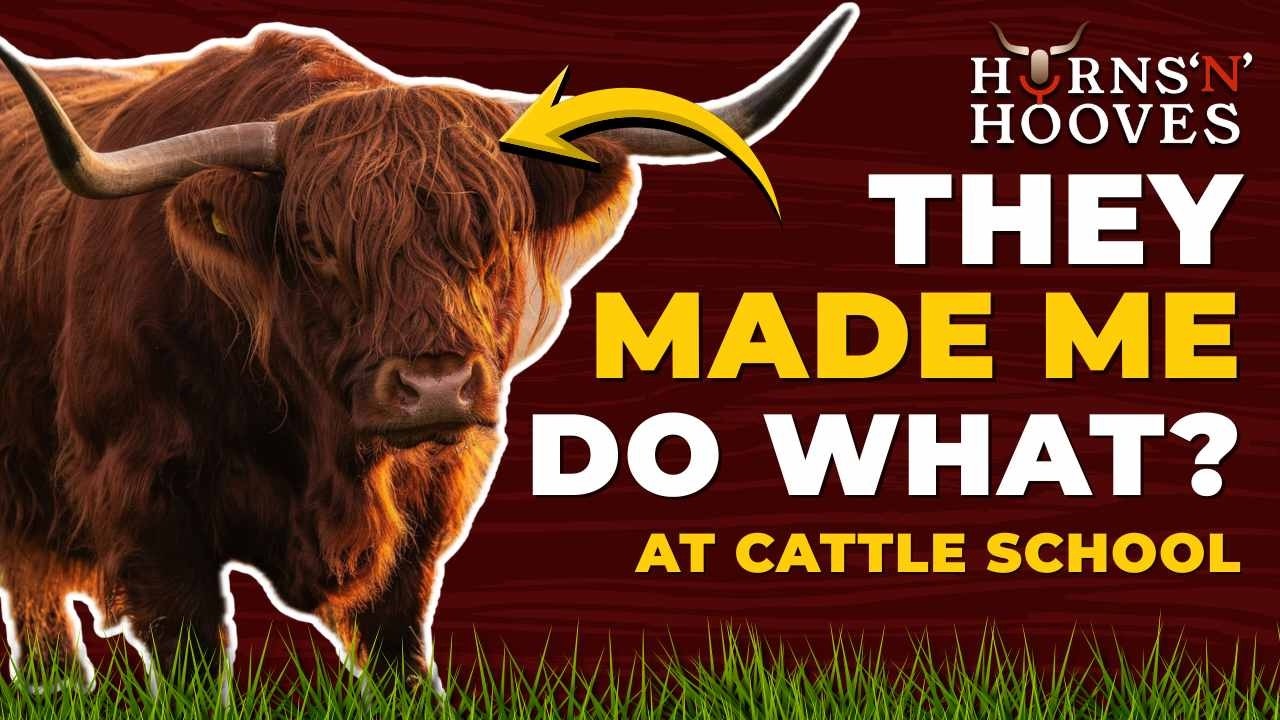 They Made Me Do WHAT at Cattle School?!