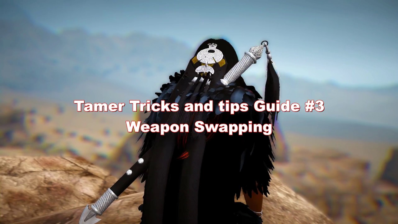 Tamer Tricks and Tips 3